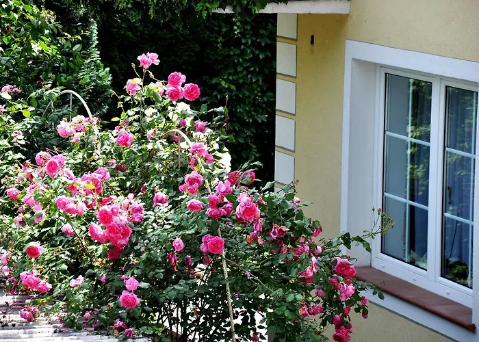 Gaestehaus Wachau Gasthuis