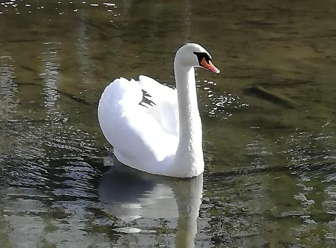 Gasthuis Gaestehaus Wachau 4*